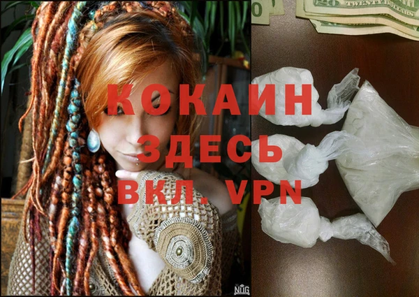 МДПВ Новозыбков