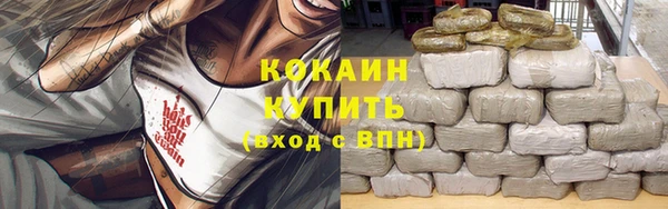 альфа пвп Новодвинск