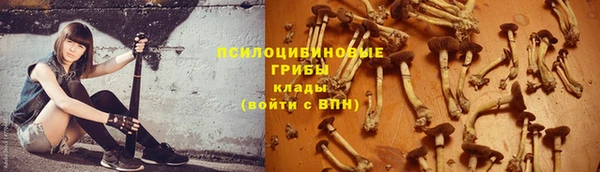 МДПВ Новозыбков