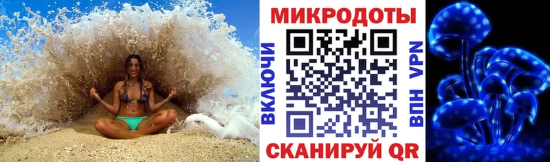 блэк спрут зеркало  Пучеж  Псилоцибиновые грибы Psilocybe 